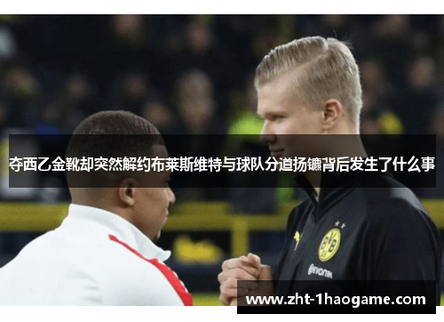 夺西乙金靴却突然解约布莱斯维特与球队分道扬镳背后发生了什么事