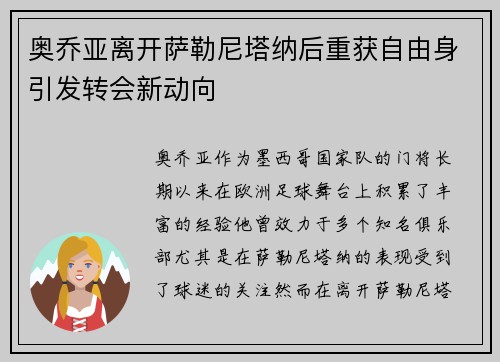 奥乔亚离开萨勒尼塔纳后重获自由身引发转会新动向